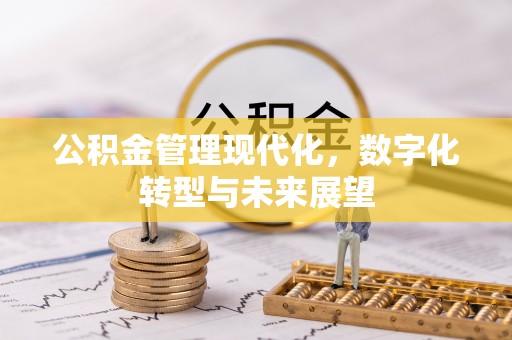 互助公积金管理现代化，数字化转型与未来展望