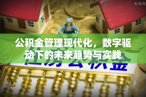 互助公积金管理现代化，数字驱动下的未来趋势与实践